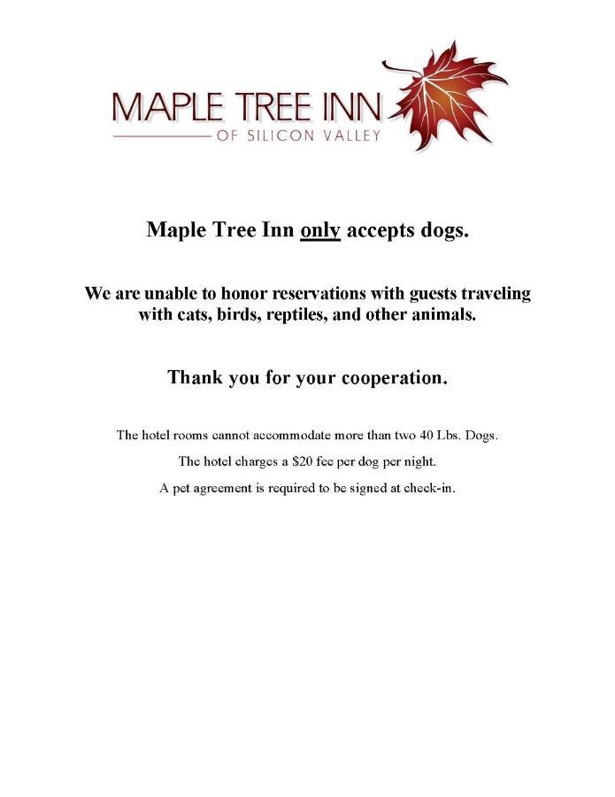 Maple Tree Inn Саннивейл Экстерьер фото